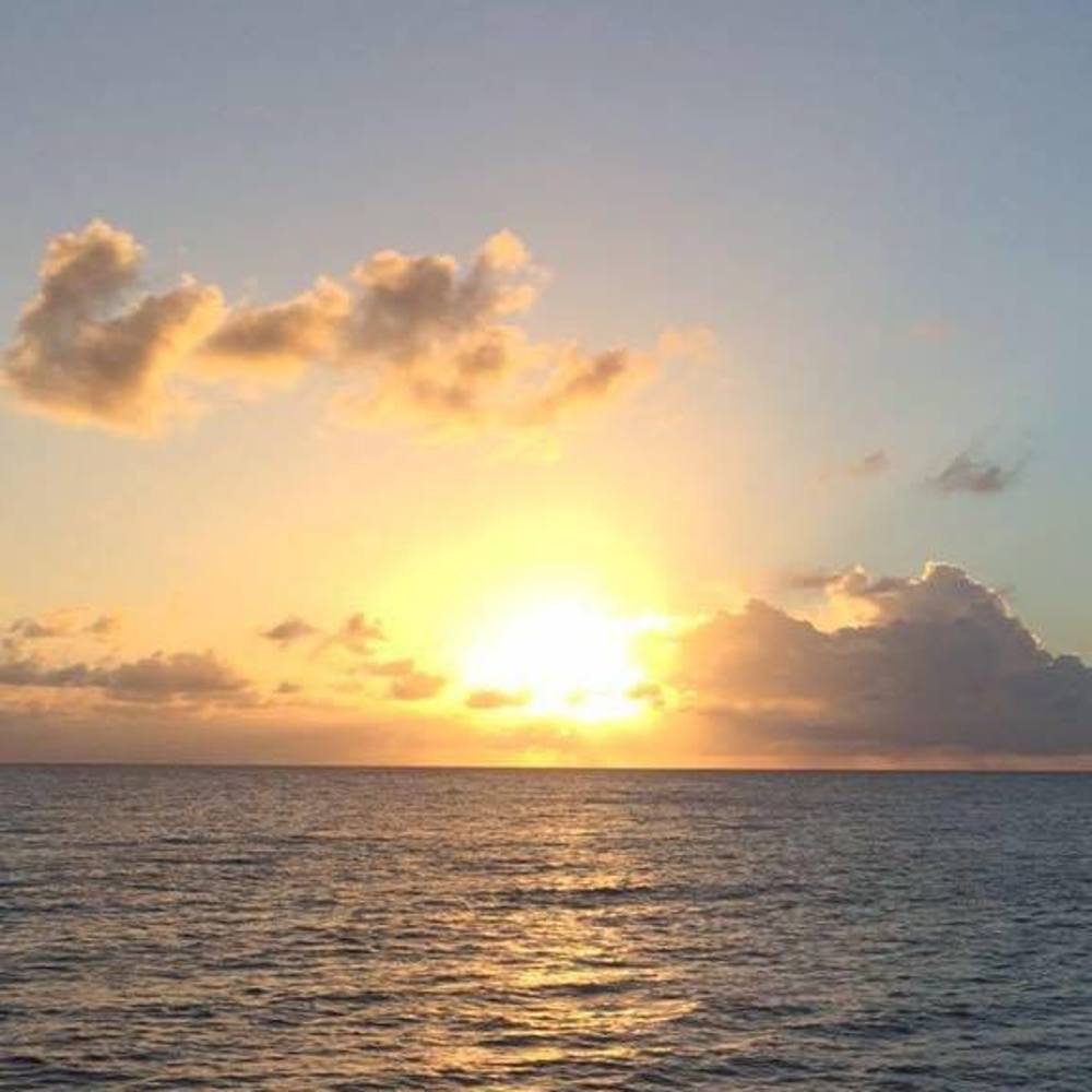 Meet your Posher, Patricia